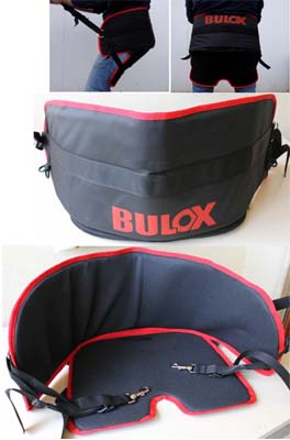 BLACKWILD Cintura Lombare Per Moto - Con Cristalli, Supporto Schiena Uomo/Donna - Foto 14